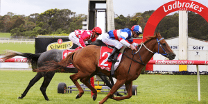 Erector wins at Sandown