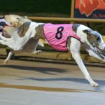 Ferdinand Boy (8) holds off Catch The Thief (2) in the Shepparton Cup.