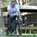 Gary Brett slipping a greyhound up the Longwood straight..