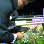 Tiggerlong Tonk has a well earned drink post-race. Photo by: Ben Pritchard.