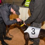 Qwara Bale with handler Josh Formosa moments after her big win.