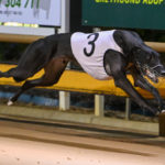 Aston Fastnet returned Best of Night honours in 25.39sec.