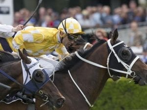 Comin' Through has new outlook on Epsom