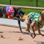 Kasemi (Kristie Collyer) defeats Invictus Ethan (Garry Selkrig) in the Healesville Members Trophy.