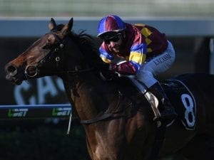 Smith hopes My Diamantine can defy odds