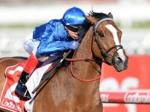 Hartnell primed for G1 Underwood assault