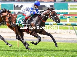 Geelong betting tips, quaddie picks & value bets | 29/9/2021