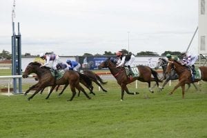 Another Queensland win for Waugh