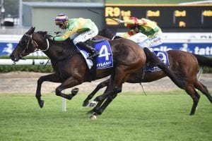 Classic Uniform claims Hill Stakes