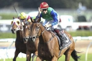 Bonneval set for the retirement barn