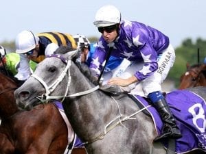 McEvoy still chasing elusive Cox Plate win