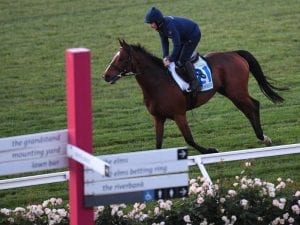 Mullins duo visit Flemington before Cup