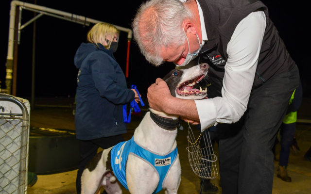 David Geall embraces Koblenz after his break through victory.