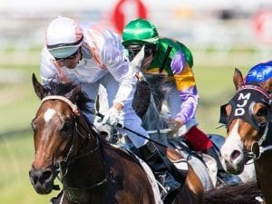 Rain puts paid to Doomben midweek meeting