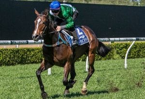 2020 Gimcrack Stakes Horse Betting Preview & Tips