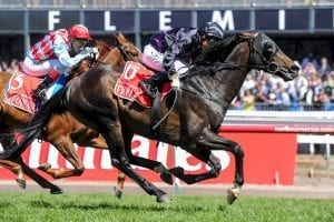 Who won the 2013 Melbourne Cup?