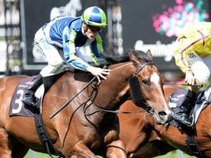 Keen Array wins Group Two Gilgai Stakes