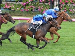 Nomothaj on Magic Millions Classic path