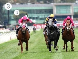 The Quarterback to make Flemington return