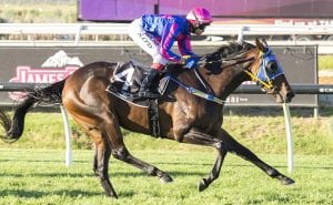 Kalgoorlie Cup Horse Betting Race Preview & Tips