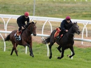 Internationals to run in Caulfield Stakes