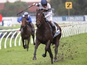 Corey Brown excited ahead of The Everest