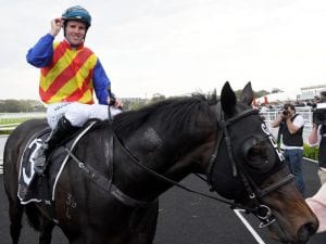 Pierata impresses Berry in Everest gallop