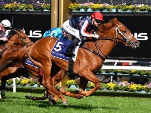 Dalasan favourite for G1 Caulfield Guineas