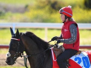 Internationals to step out at Caulfield