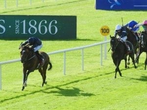 Flag Of Honour wins Irish St Leger