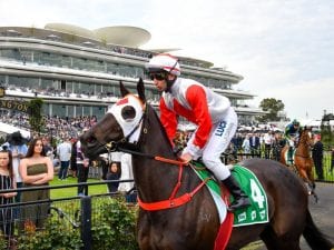 Trinder confirms Plate for Mystic Journey