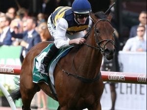 Aloisia peaking in time for Oaks