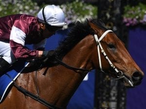 Goldman changes tack for Group One bid