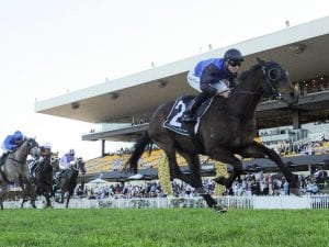 Shadow Hero dominates Spring Champion