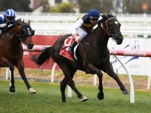 Night's Watch on target for G1 Toorak