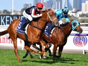 Dalasan draws wide in Caulfield Guineas