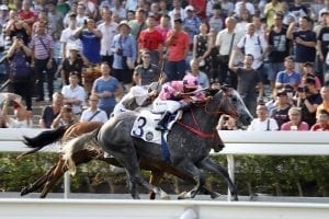 Prawn prevails in Size’s National Day Cup stoush