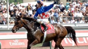 Who won the 2005 Melbourne Cup?