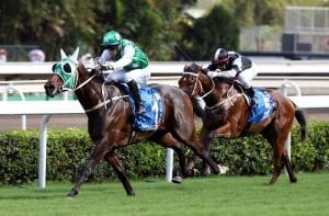 Free entries set to close ahead of Hong Kong International Races