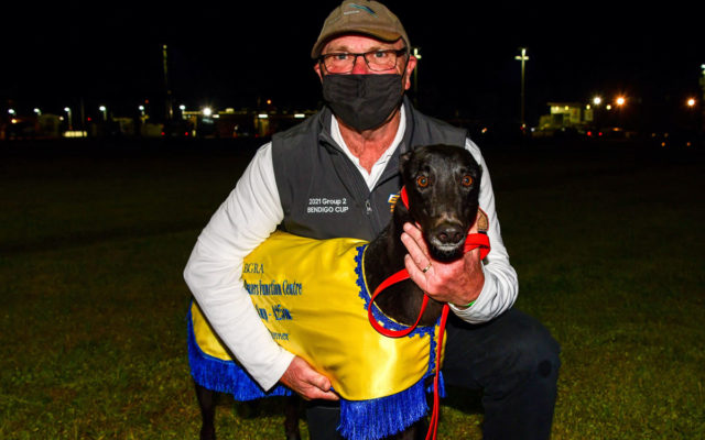 Paua Of Buddy with trainer Steve White