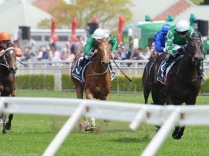 Catch Me impressive in Gimcrack Stakes win