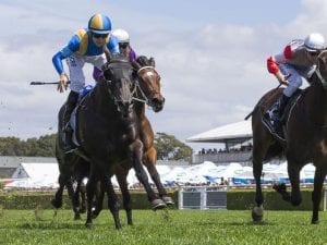 Goodfella's victory a slam dunk for Baker