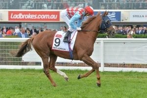 Winkers workout at Werribee for Red Verdon