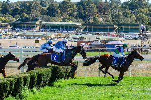 Jumps Racing Cancelled in South Australia