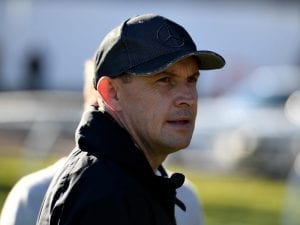 Waller expects improvement from Tangled