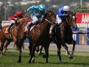 Flit a dominant Thousand Guineas favourite