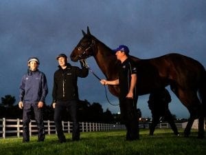 Winx out to stretch winning streak