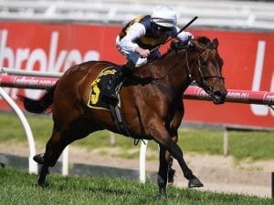 Vase next step on Oaks path for Aloisia