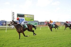 Youngstar gallops strongly at Caulfield