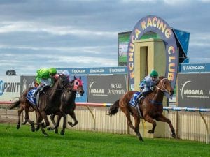 Echuca Racing Club